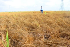 Youth help residents in drought-hit areas access drinking water