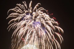 Fireworks light up Da Nang sky