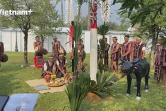 Neu Pole across the cultural life of ethnic communities