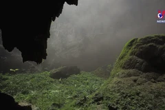 Son Doong among the 10 best virtual tours of world's natural wonders