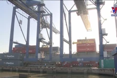 Export-import growth hits 10-year high