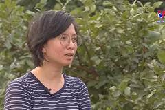 Influential Vietnamese woman honoured by BBC