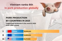 Vietnam ranks 6th in pork production globally