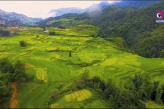 Sapa - Safe destination during epidemic
