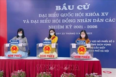Elections see high rates of turnout: NEC