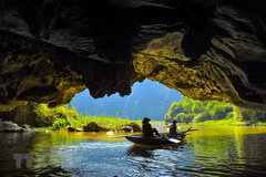 Tam Coc in harvest season dazzles visitors