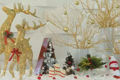 Christmas trees bring hope to disadvantaged kids