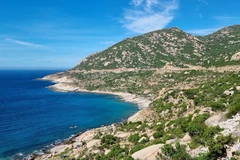 Ninh Thuan attempting to preserve biodiversity