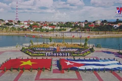 Vietnam treasures solidarity, friendship with Cuba: Deputy PM
