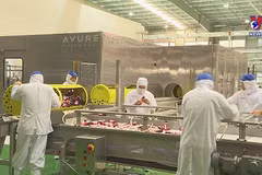 Vietnam eyes world’s top 10 farm produce processing hubs