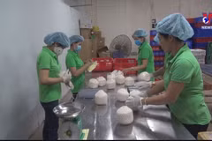 Vietnam’s coconut export to reach 1 billion USD in 2025