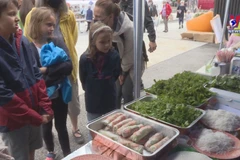 Vietnamese festival in France impresses visitors