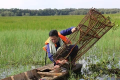 Experiencing life of western farmers in Tram Chim National Park