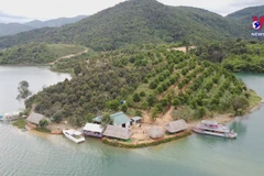 Nature-based tourism expected to dominate in 2024
