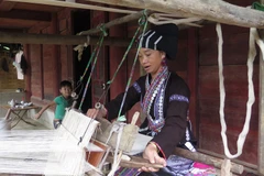 Lu ethnic women preserve brocade weaving