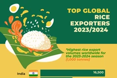 Vietnam among top 3 global rice exporters for 2023-2024