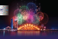 Int'l fireworks festival takes place in Da Nang