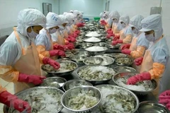 Vietnam’s fishery exports expected to hit 10 billion USD in 2024