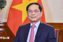 Minister of Foreign Affairs Bui Thanh Son (Photo: VNA)