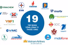 Nineteen corporations and parent companies under the Commission for Management of State Capital at Enterprises (CMSC). (Photo: nhipsongkinhdoanh.vn) 