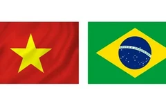 Vietnam and Brazil established diplomatic ties on May 8, 1989. (Photo: VNA)