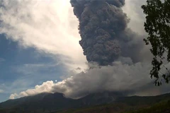 Mount Lewotobi Laki-Laki in eastern Indonesia erupts again on November 8. (Photo: Xinhua/VNA)