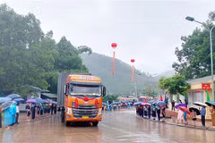 Goods are transported through the Hoanh Mo - Dong Zhong Border Gate pair in Quang Ninh province of Vietnam and Guangxi Zhuang Autonomous Region of China on June 25. (Photo: VNA)