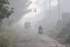Indonesia: forest fires sear through 30,477 hectares 