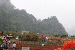 New tourism programmes promise to attract tourists to Yen Bai
