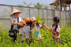 Agriculture tourism in Ho Chi Minh City needs boost