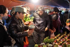 Visitors buy luck at Vieng Market in Nam Dinh province