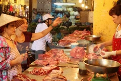 Ho Chi Minh City’s CPI up 0.43 pct in May