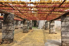 Hundred year-old incense village in Hung Yen