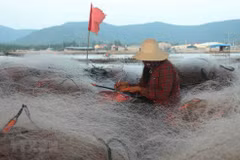 Fishing net weaving villages busy all year round