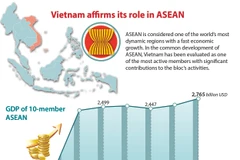 Vietnam affirms its role in ASEAN