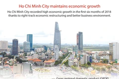 Ho Chi Minh City maintains economic growth