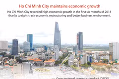 Ho Chi Minh City maintains economic growth