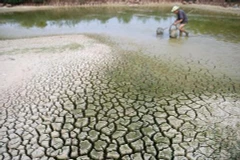 Hanoi Forum focuses on climate change response