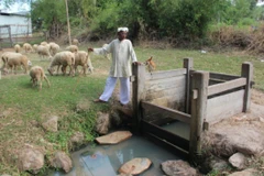 Ninh Thuan boast unique 500 year old wells
