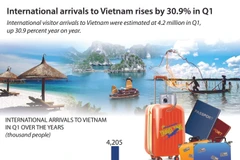 International arrivals to Vietnam rises by 30.9% in Q1