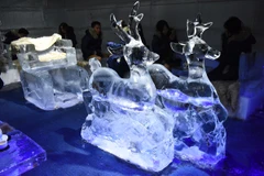 Ice cafe helps Hanoians escape from severe heat
