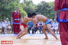 Attraction of Vietnam's traditional wrestling 