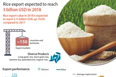 Rice export expected to reach 3 billion USD