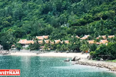 Bai Rang beach in Da Nang - the harmony of forest and sea