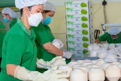 Opportunity for Vietnam’s coconut exports to US, China 