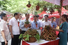 Hung Yen opens litchi fair 2023 