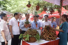 Hung Yen opens litchi fair 2023 