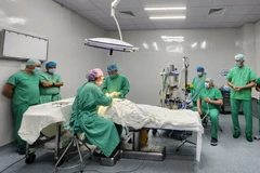 Free surgeries offered for cleft palate children in Thua Thien-Hue