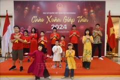 Vietnamese people in Indonesia mark Year of Dragon