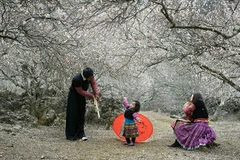 Vietnam developing community-based tourism